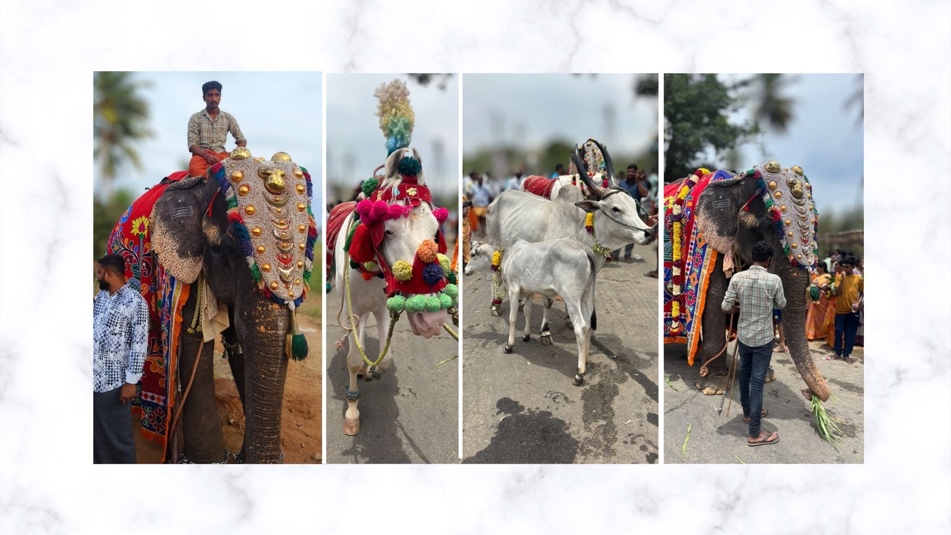 Sri-Boomadevi-Erode-kumbabishekam Photos
